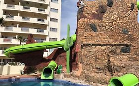 Delphin 101